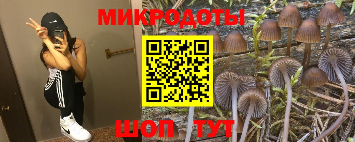 Владимир  Галлюциногенные грибы прущие грибы  Вход с VPN 